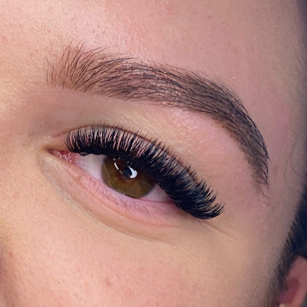 Beginner Classic and Volume Lash Course